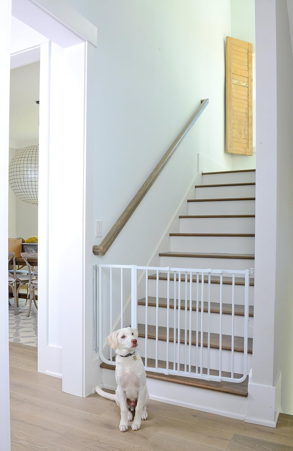 Cardinal Gates BX1 Baby Gate Extension - 10.5-Inch Compatible Extension for Cardinal Gates Safety Gates in White