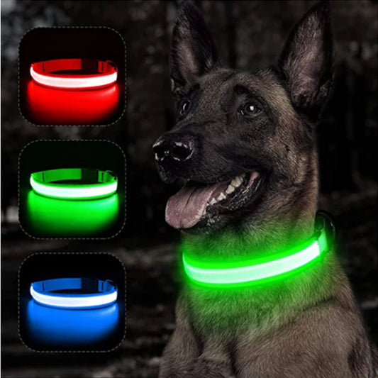 Adjustable LED Dog Collar – USB Rechargeable or Battery-Powered for Night Safety